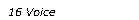 Voice